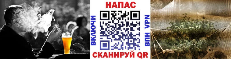 Канабис сатива  Купить  Зубцов 